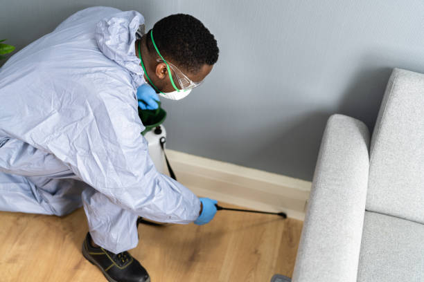 Best Real Estate Pest Inspections  in Mead Valley, CA